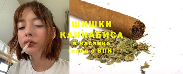 хмурый Гусиноозёрск