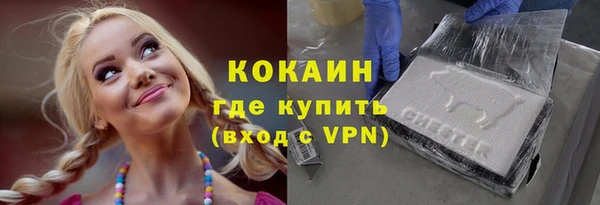ПСИЛОЦИБИНОВЫЕ ГРИБЫ Гусь-Хрустальный