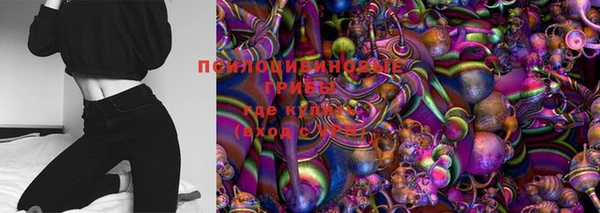 ПСИЛОЦИБИНОВЫЕ ГРИБЫ Нягань