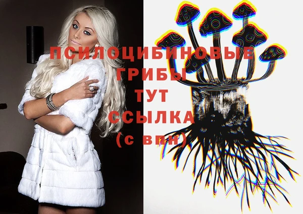 ПСИЛОЦИБИНОВЫЕ ГРИБЫ Гусь-Хрустальный