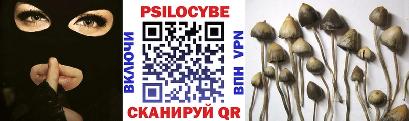 Галлюциногенные грибы мицелий  Приволжск 